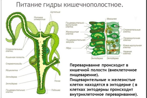 Mega мориарти ссылка